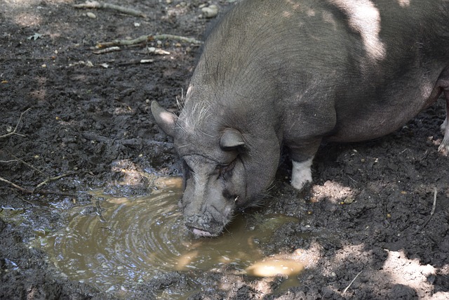 增加无人机 增加无人机